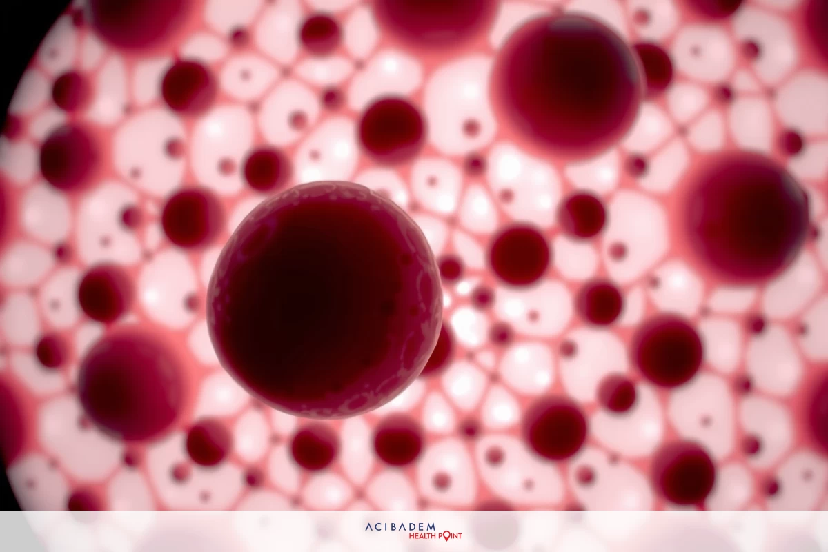 The image displays an optical micrograph of cellular structures. The cells appear to be in a close-up view and are colored red.