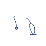 Dr. Mustafa Erdal Beyter