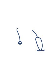 Dr. Mustafa Erdal Beyter
