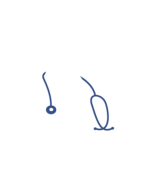 Dr. Recep Yaver